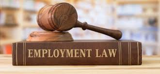 ontario workplace lawyers