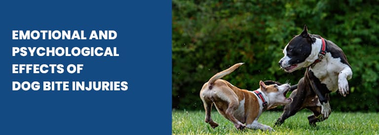 Emotional and Psychological Effects of Dog Bite Injuries