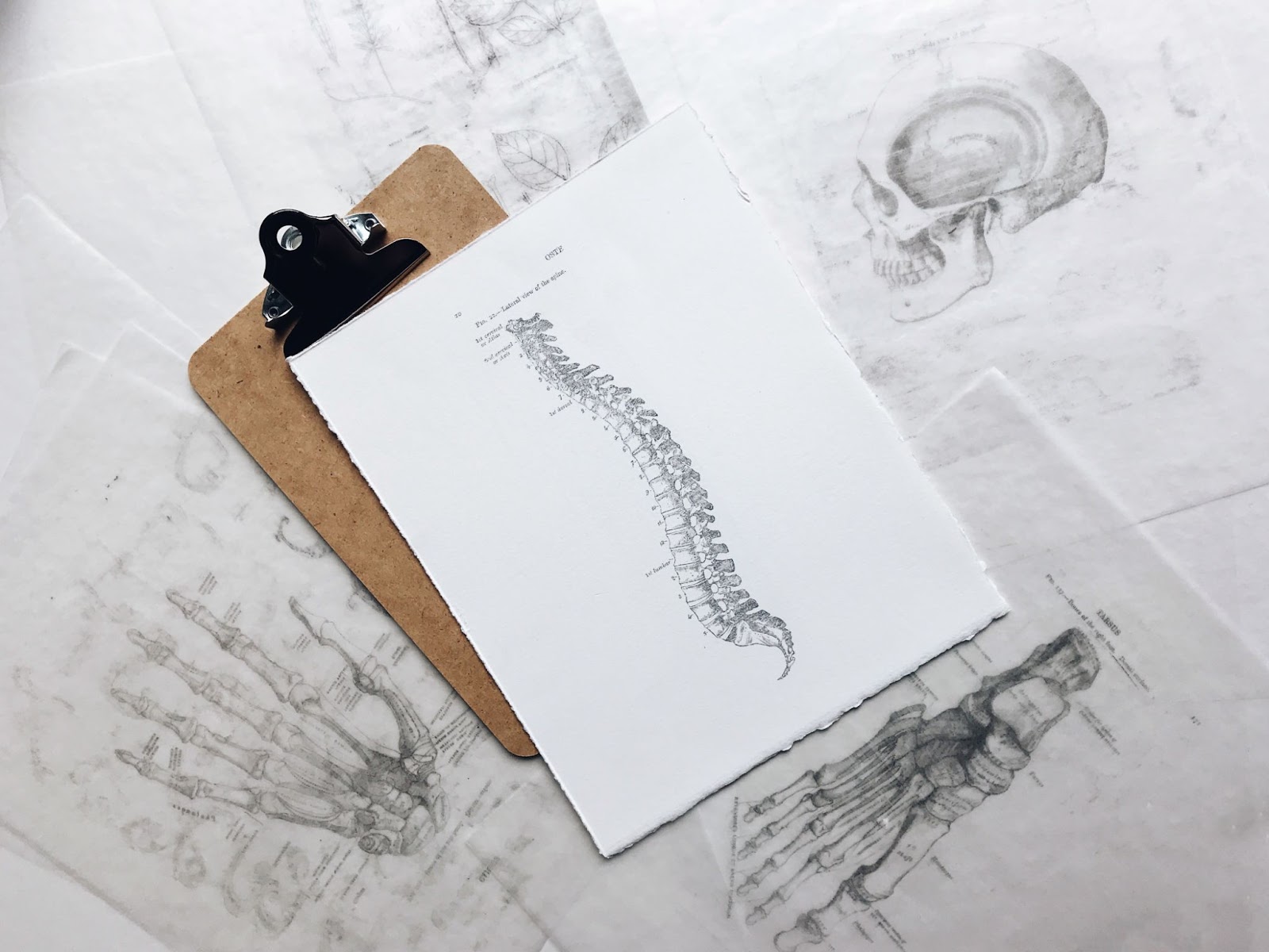 Spinal Cord Injury