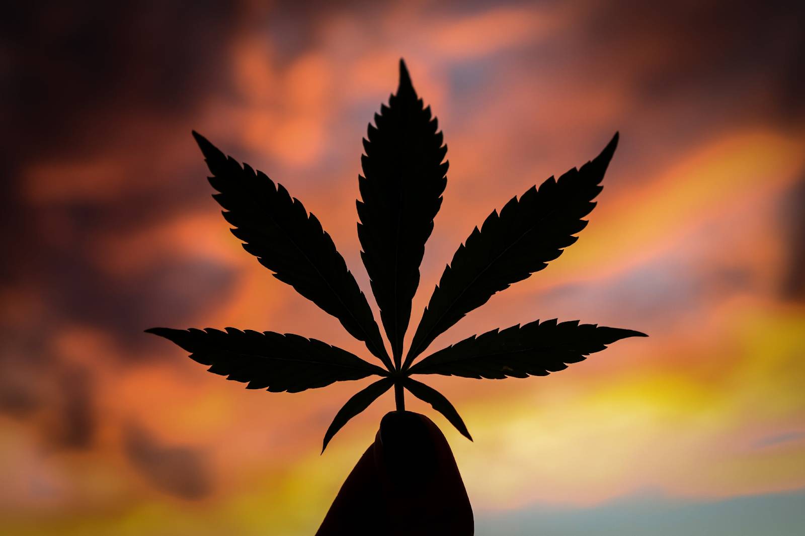 How Past Marijuana Use Might Impact Personal Injury Claims