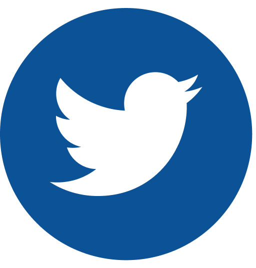 Twitter icon